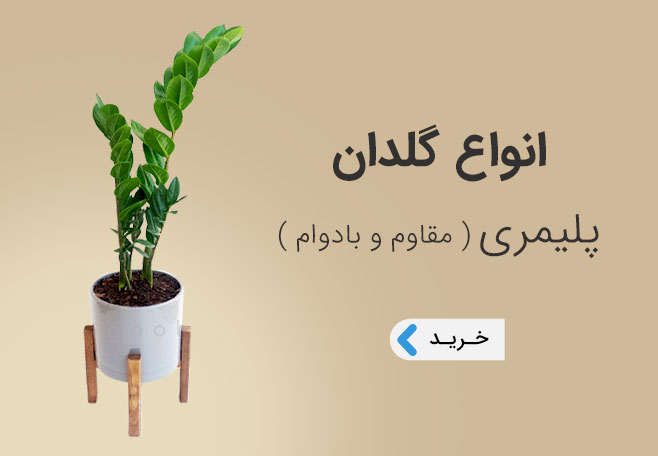 خرید انواع گلدان پلیمری