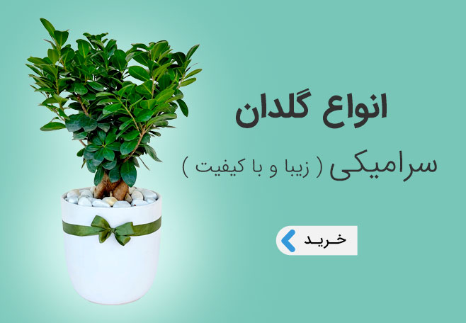 خرید انواع گلدان سرامیکی